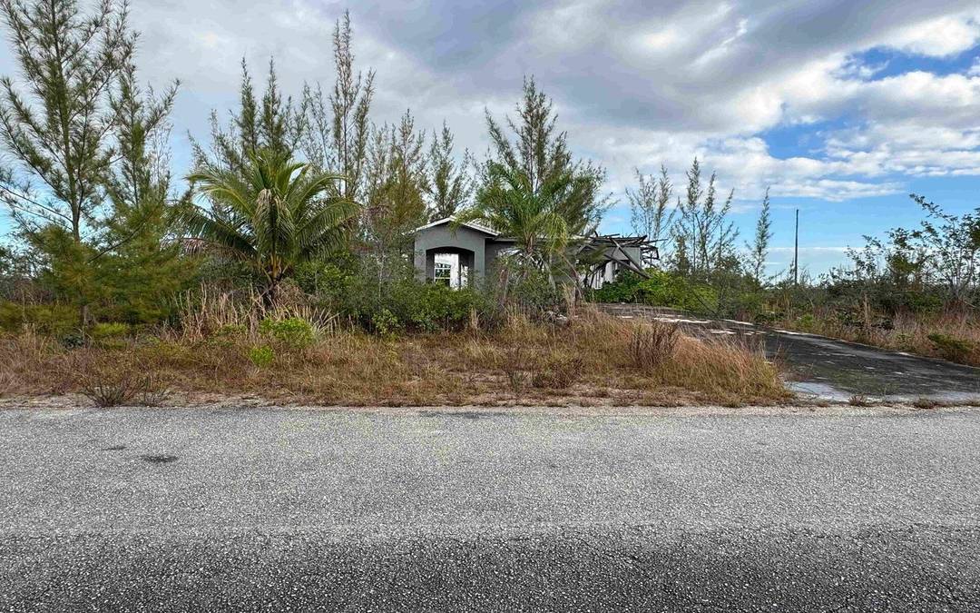 FIXER UPPER SUFFOLK SUBD Single Family Home Grand-Bahama-Freeport