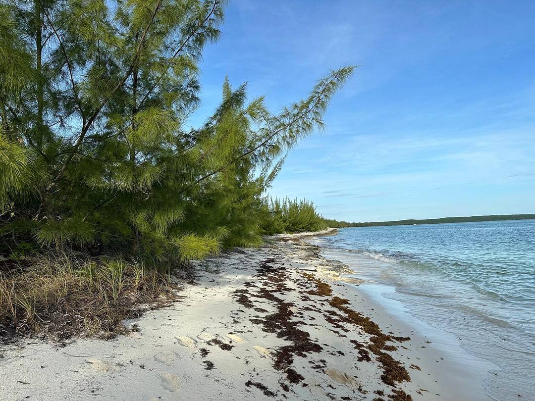 PORT HOWE BEACHFRONT LOT Land Cat-Island