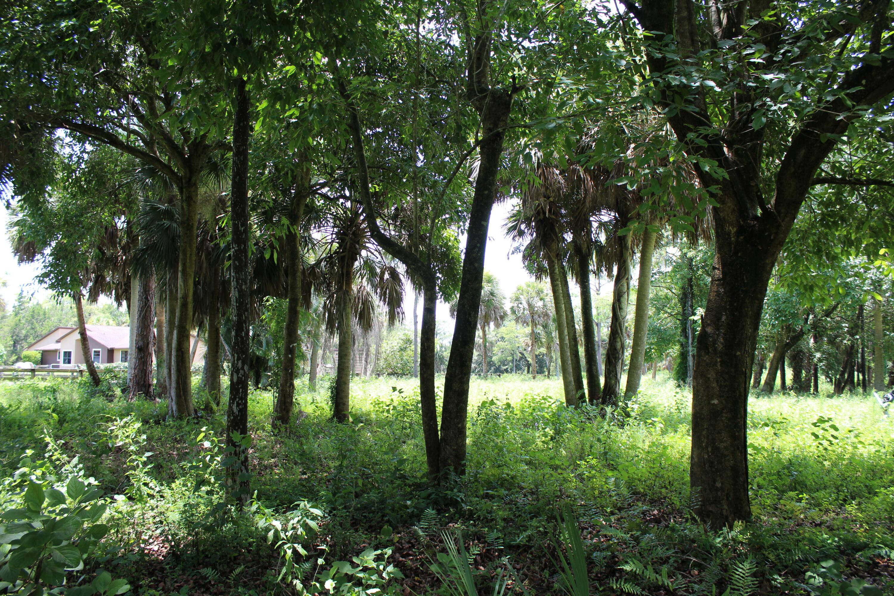 BEAUTIFUL 5 ACRE LOT IN FOX TRAIL HIGH DRY FULLY FENCED PAVED ROAD ACCESS Ready to design and build your dream farm, this 5 acre lot is located in the ...
