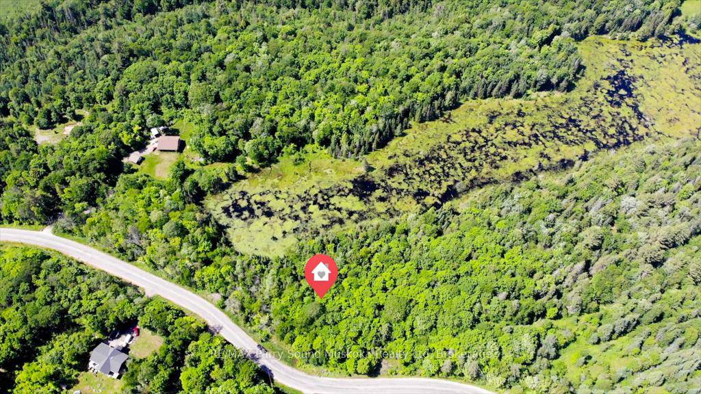 Nature Lovers Delight 16 Acres of Untouched Beauty Welcome to your private escape !