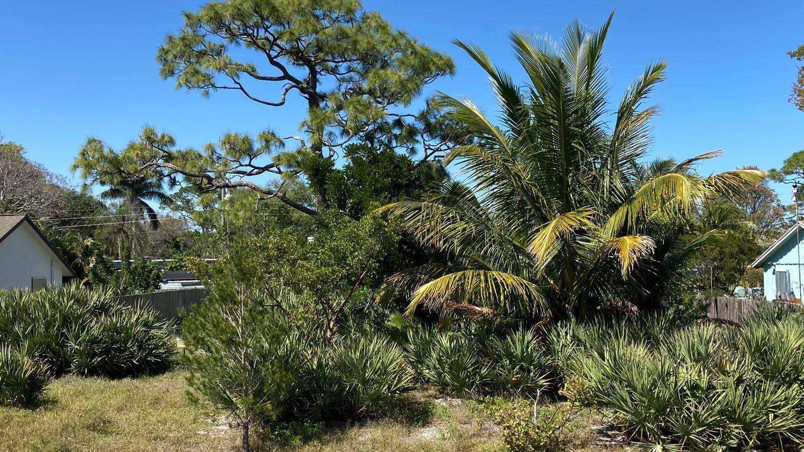 Don't miss out on this rare opportunity to acquire the only vacant lot available in Poinciana Gardens.