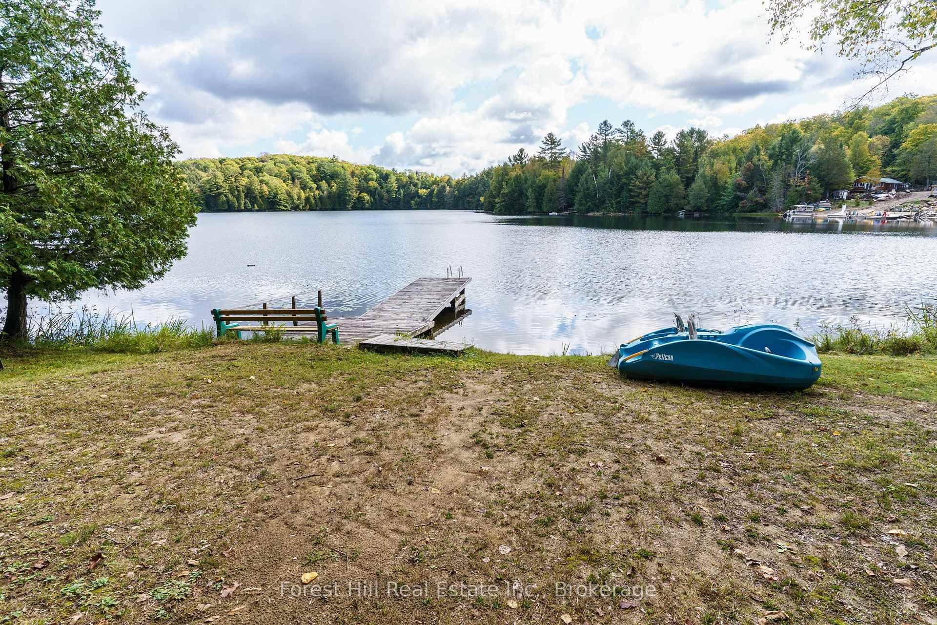 Cosy, reasonably priced Muskoka cabin in the woods with its own walking trail on 1.