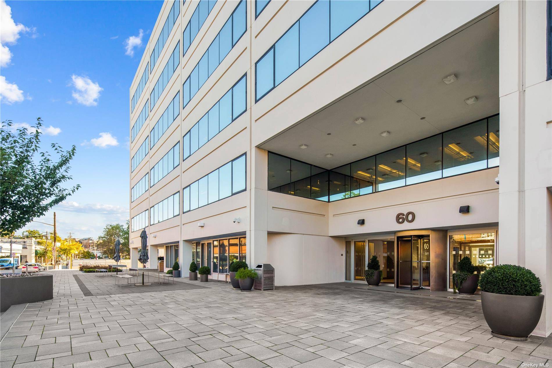 Welcome to the epitome of professional luxury and unmatched convenience in the vibrant heart of Nassau County.