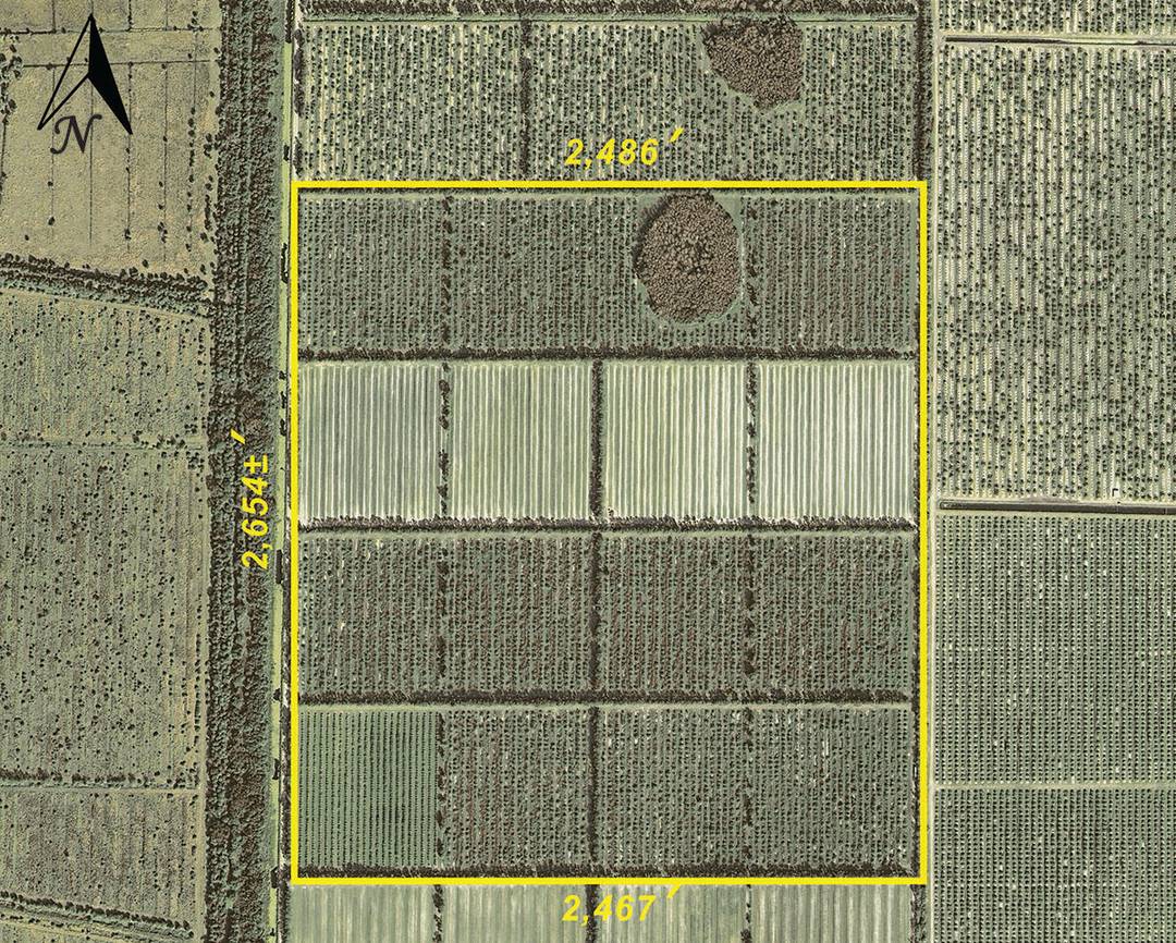 This parcel is located in the Orange Avenue Citrus Growers Association, an organization devoted to the citrus industry.