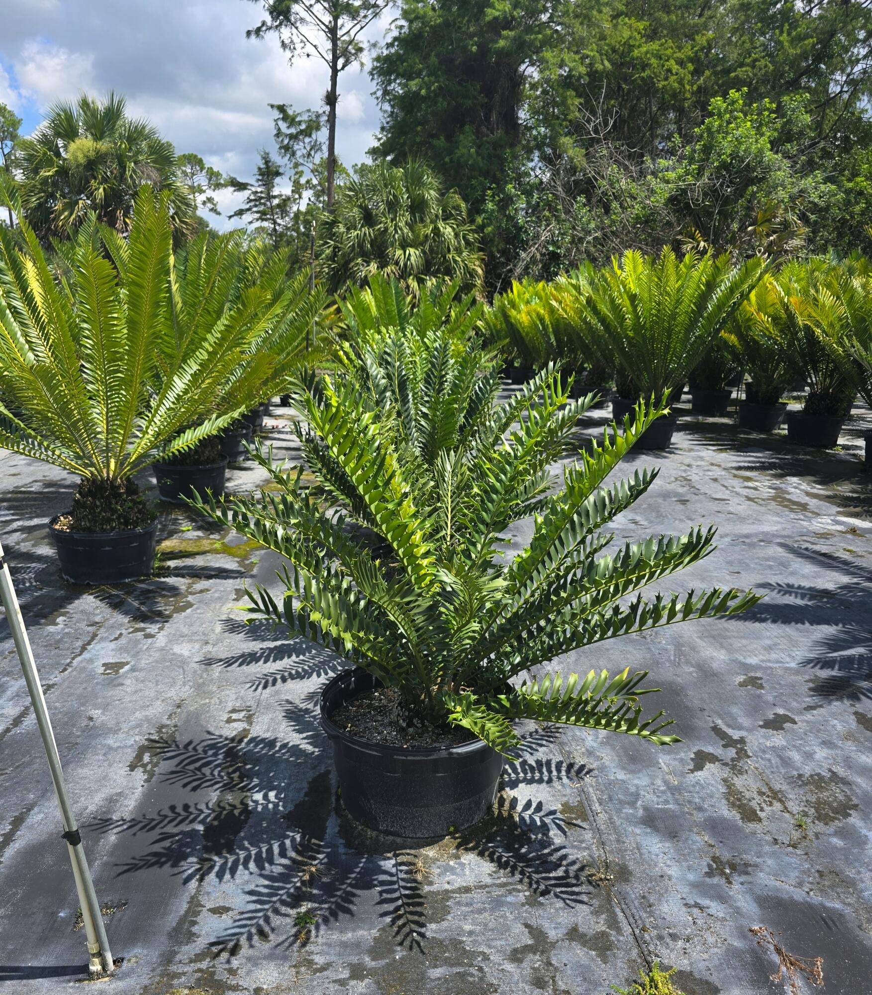 0000 B Road Land Palm Beach