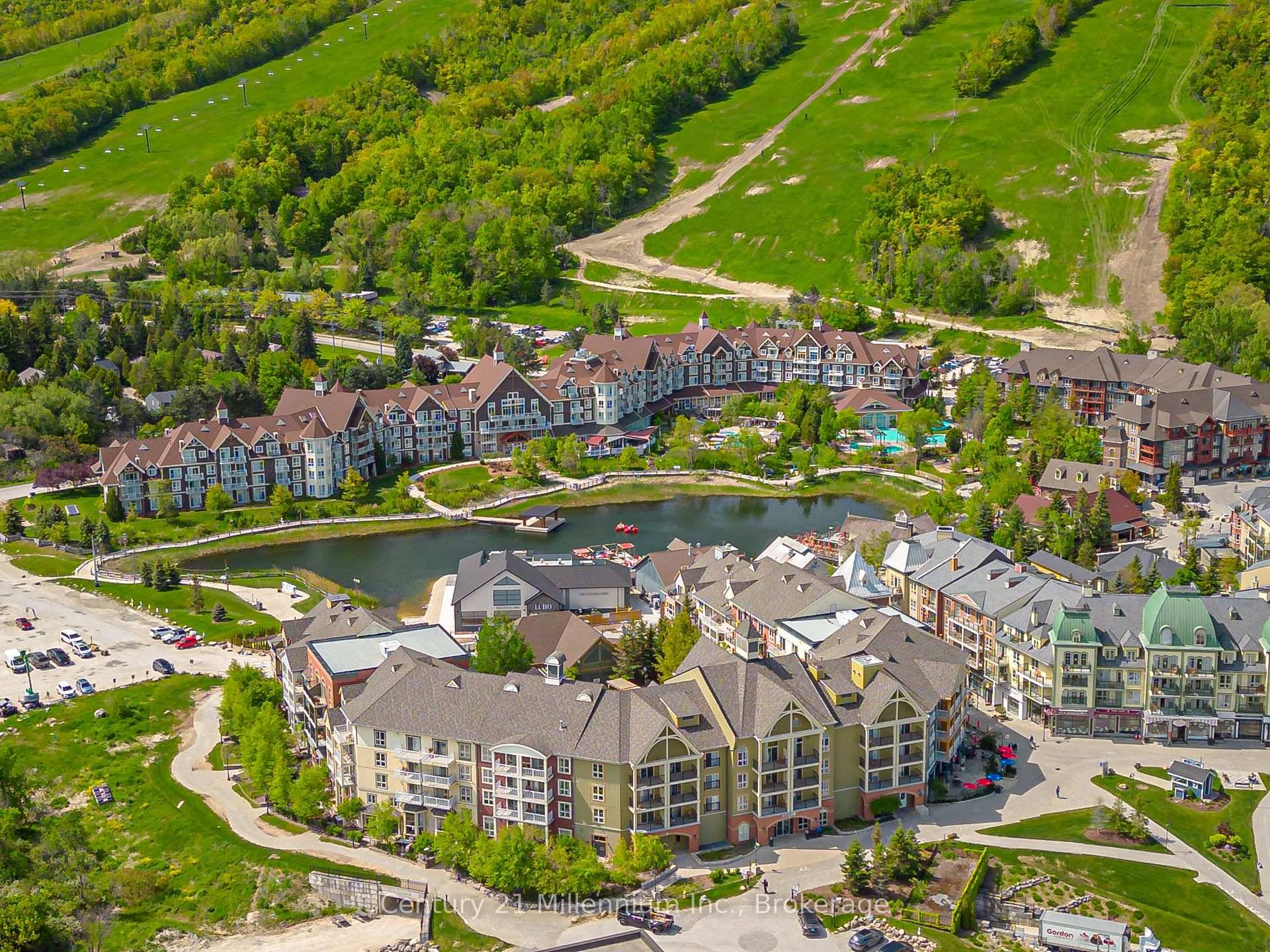 MOUNTAIN LIVING AT THE MOSAIC IN BLUE MOUNTAIN VILLAGE !