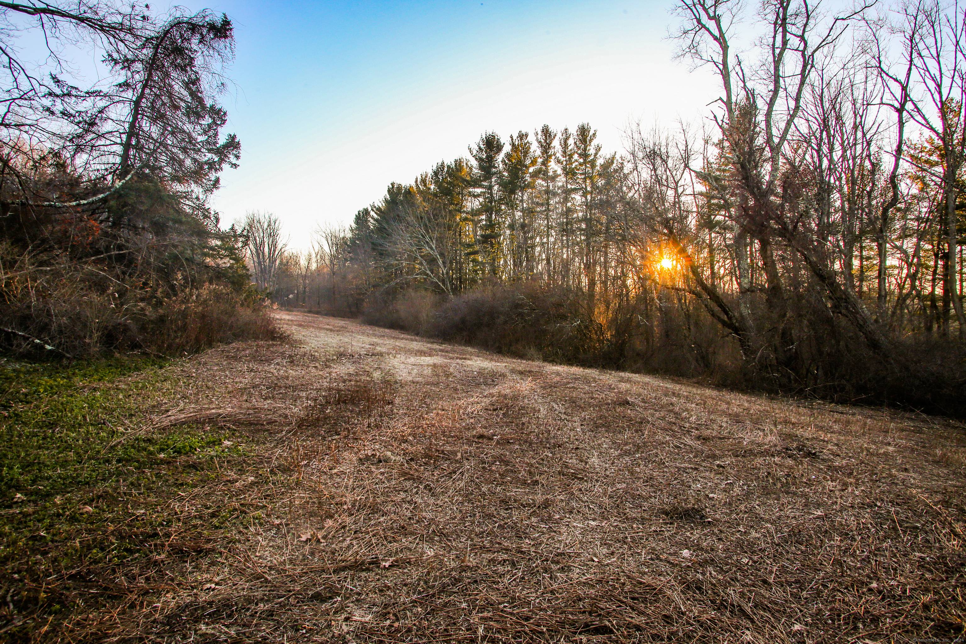 Offering approximately 80 acres with about 1, 170 feet of road frontage.