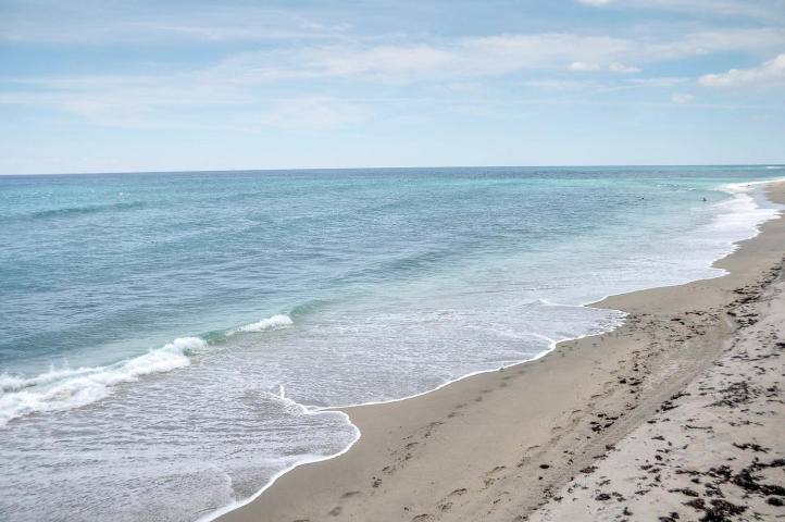 Just Listed Oceanview 1 Bedroom at The Patrician !