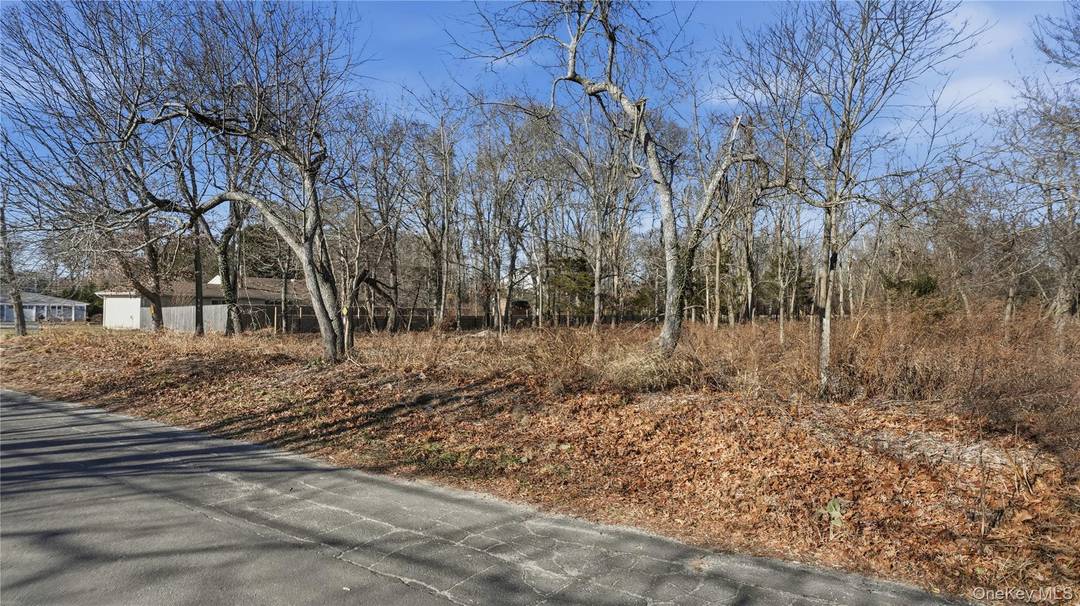 Build your North Fork dream home on this vacant.