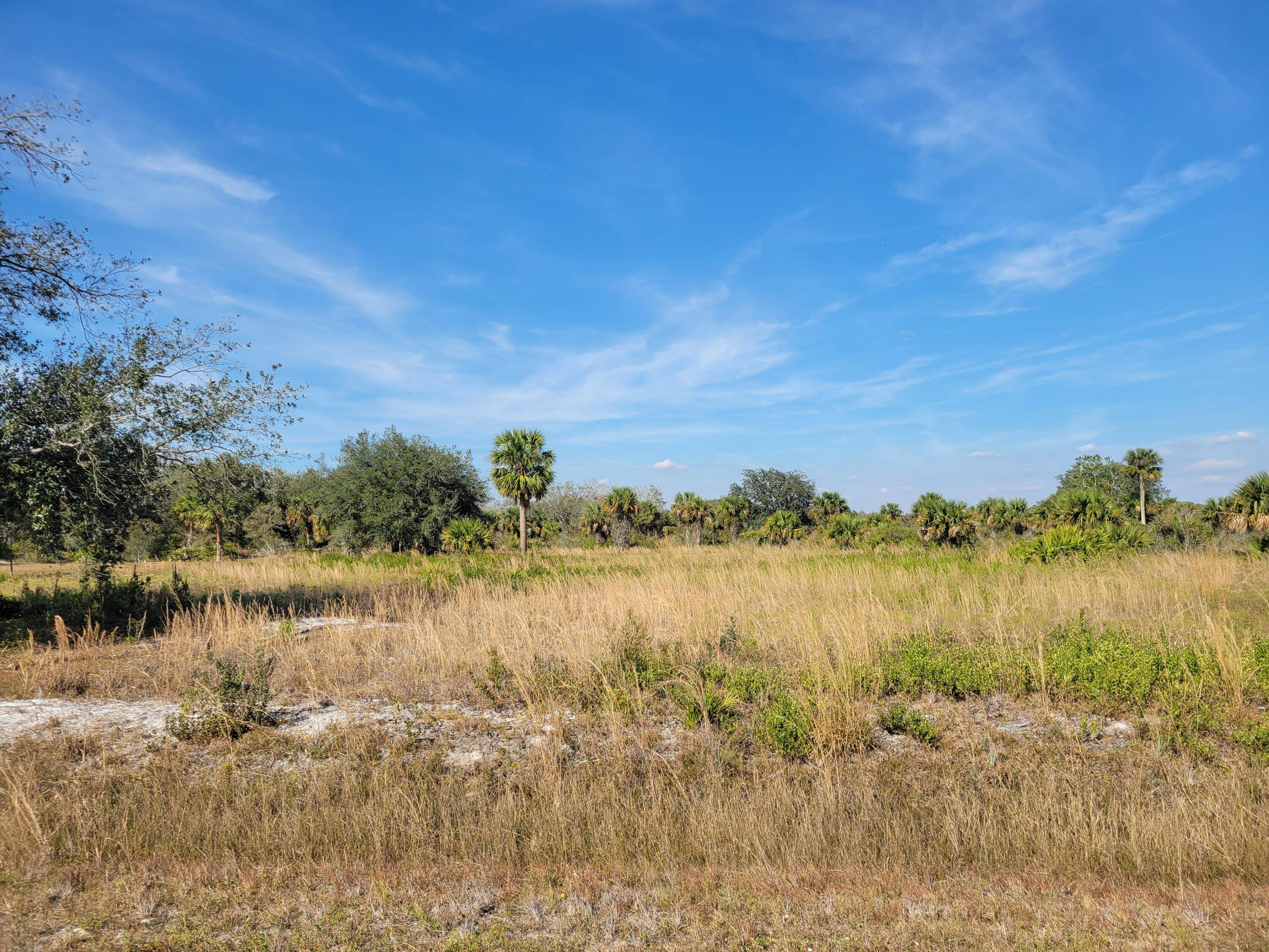 This is a really nice 1. 25 acre parcel in NW Okeechobee county.