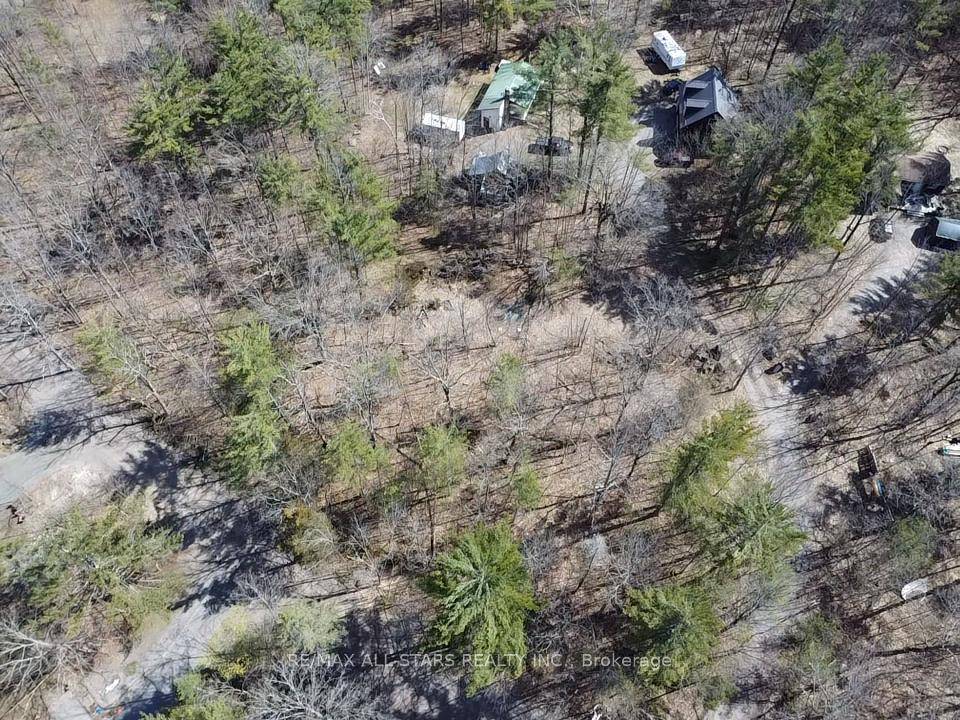 Wooded Building Lot on Pretty hilltop Setting Near the Crowe River and Less Than 15 Minutes to Campbellford Amenities.