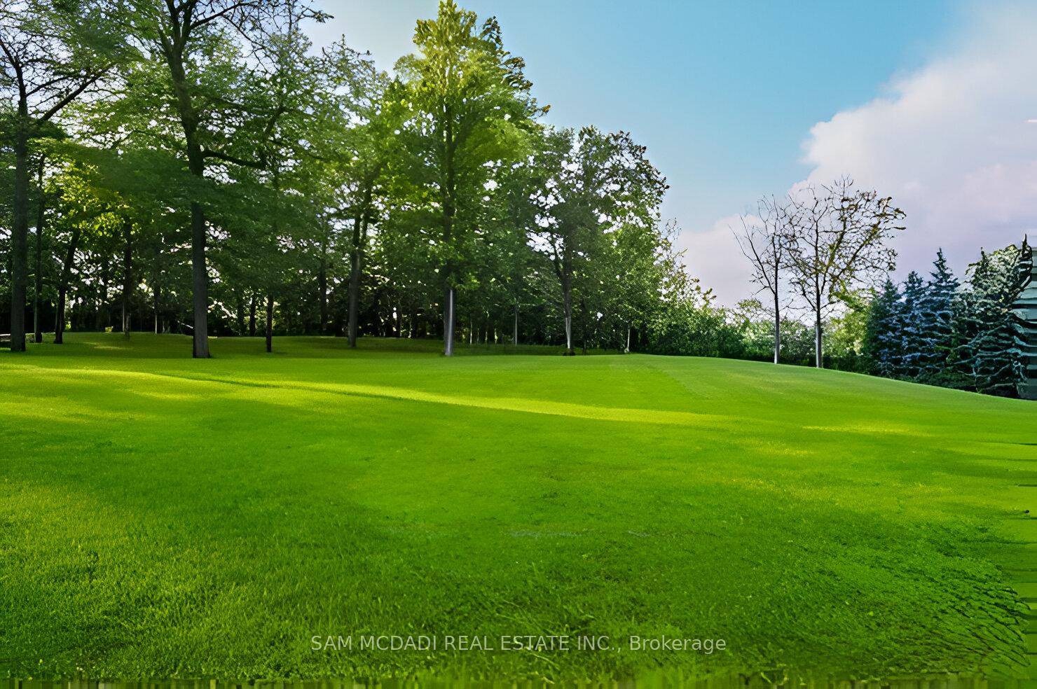 Exceptional building opportunity in Clarkson community on a 57' x 250' ft lot.