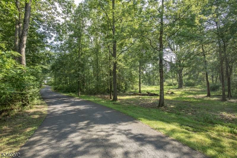 Great Oak A stunning 9. 03 Acre lot of mostly open land characterized by forest at the rear.