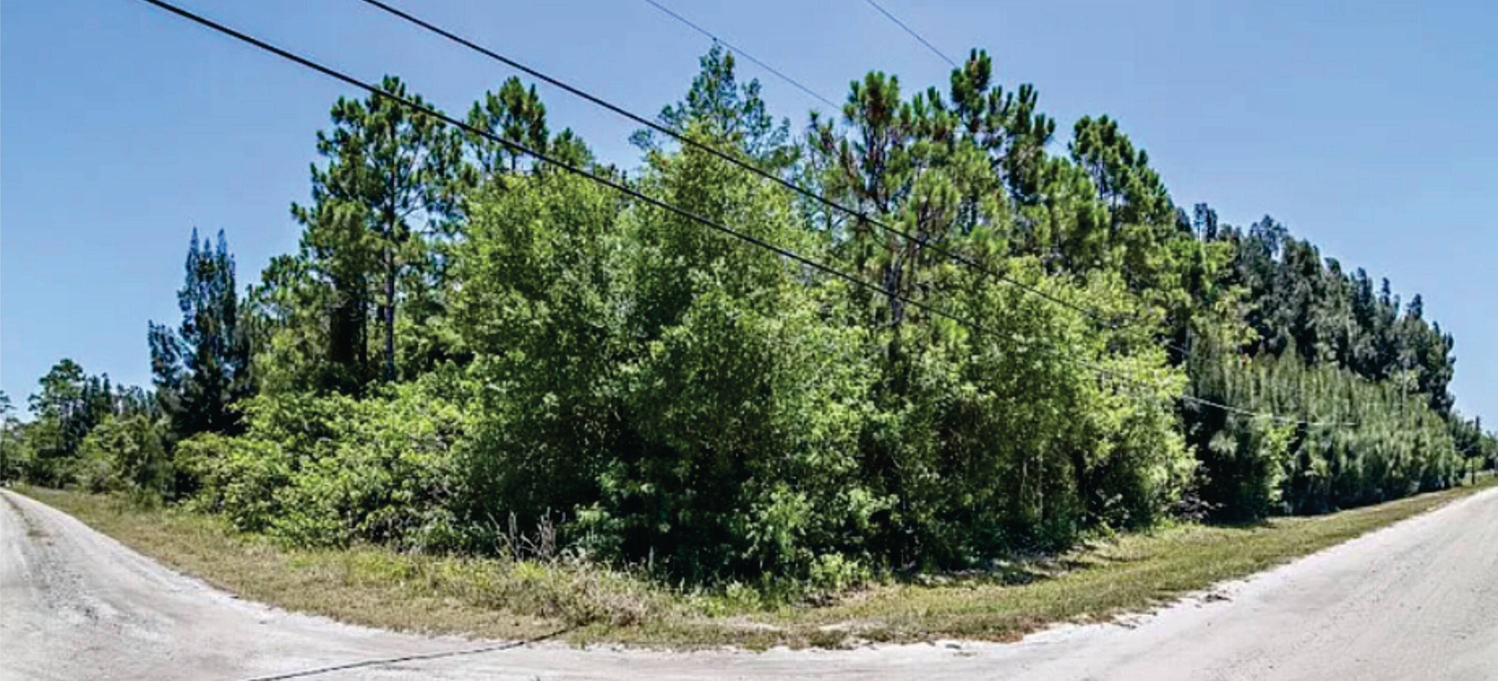 Discover a fantastic opportunity with this expansive land property located in Palm Beach Gardens.