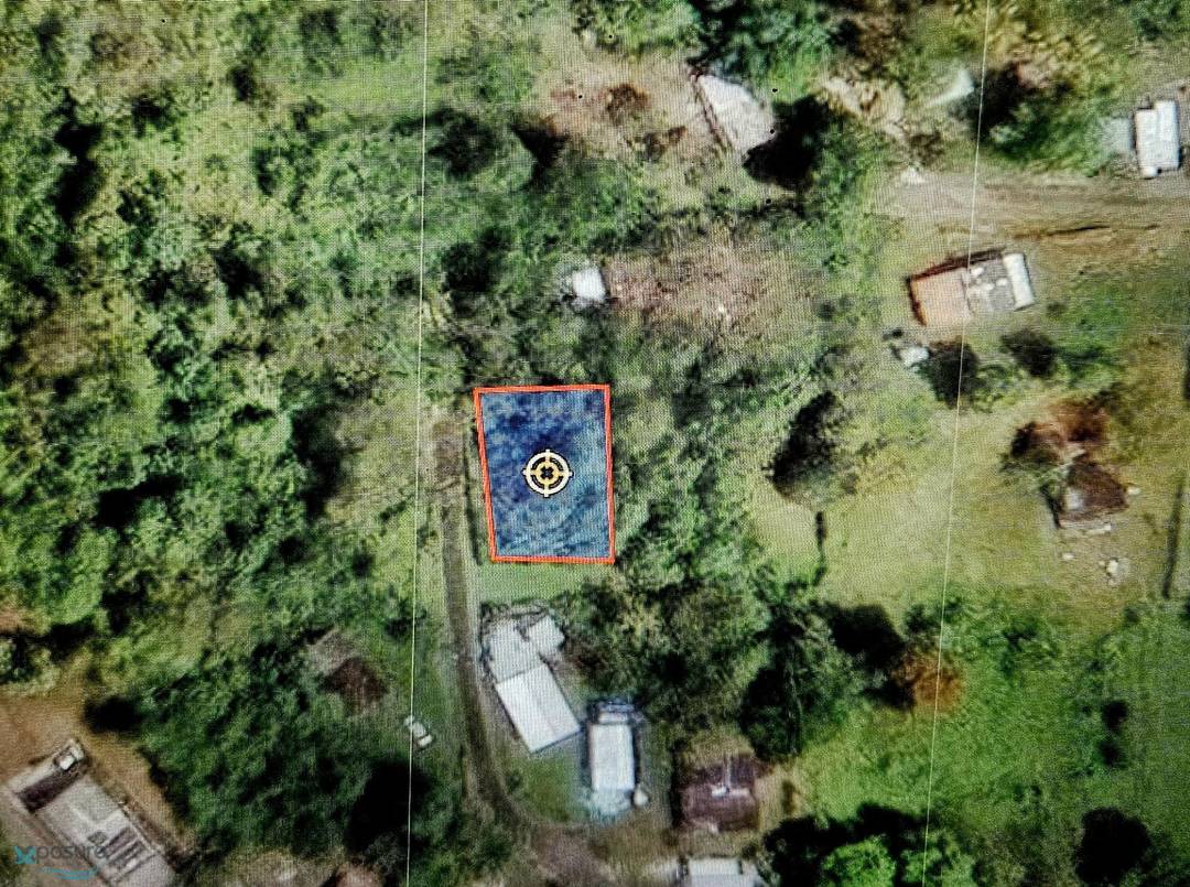 CARR 184 Land Patillas