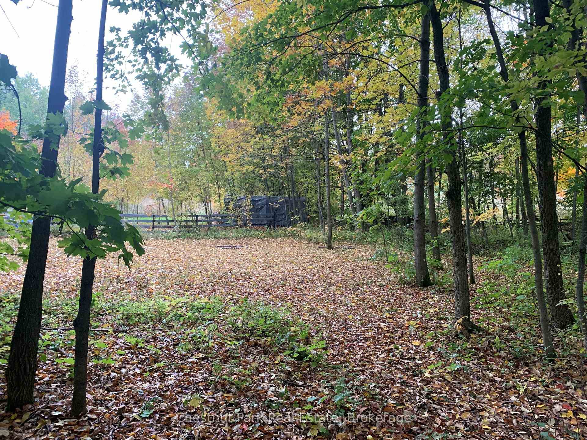 Situated in the heart of Beaver Valley, this exceptional building lot on Bowles Bluff Road offers the perfect opportunity to create your dream home.