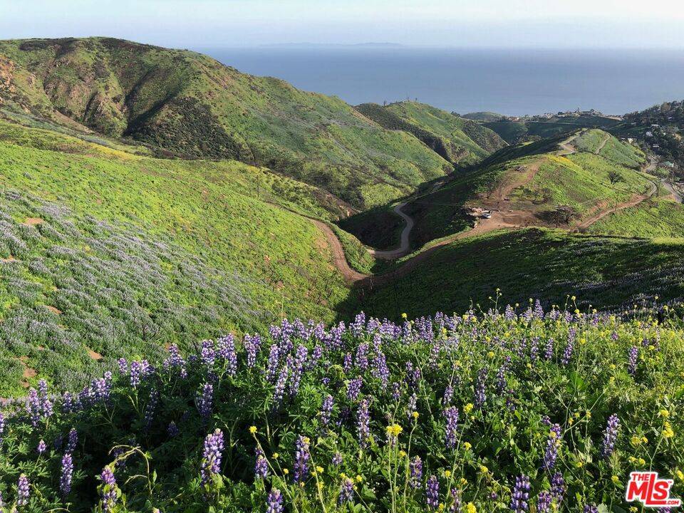 3900   Latigo Canyon Rd Malibu La