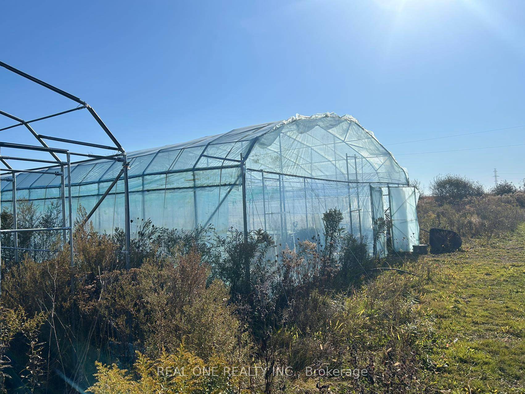 Organic farm asset sale !