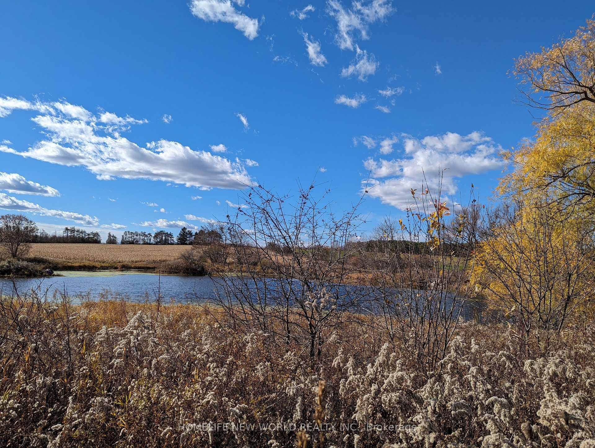 MUST SEE Welcome to This Rarely Offered Fabulously Newly Renovated Raised Bungalow Nestled on A Spectacular 43 Acres Farm Land Approx.