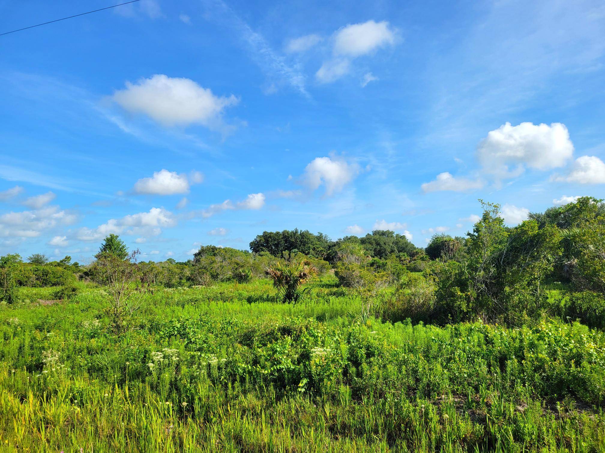 1. 25 acre buildable lot with power access great elevation !
