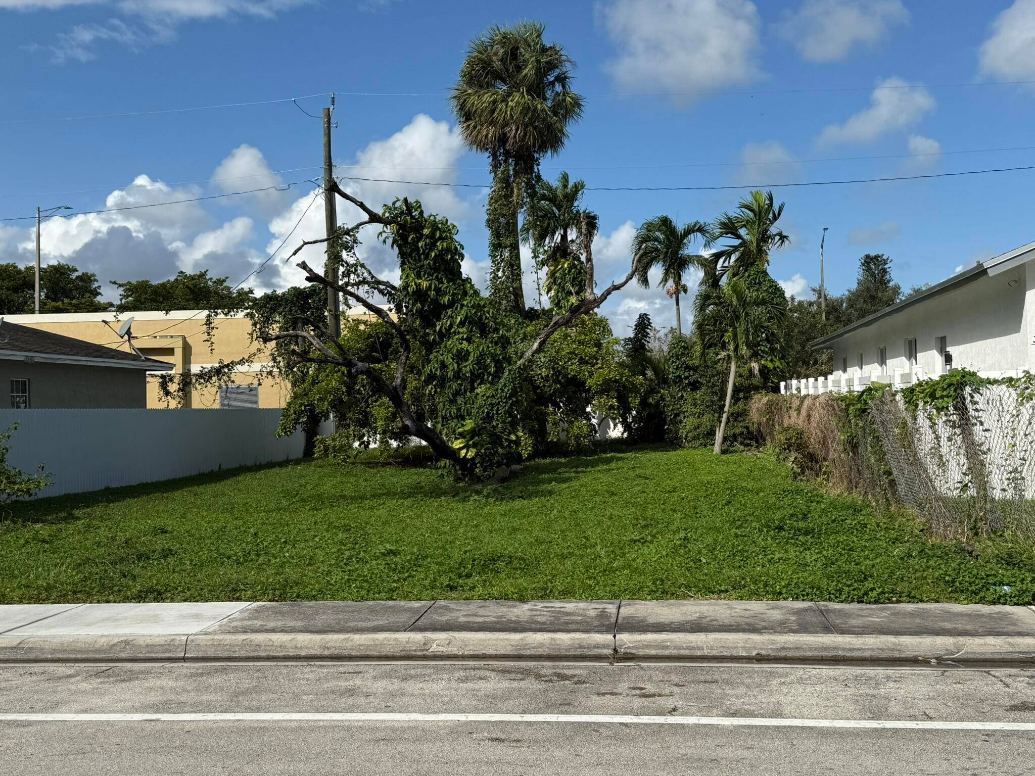 Vacant Lot in Washington Park suburb.