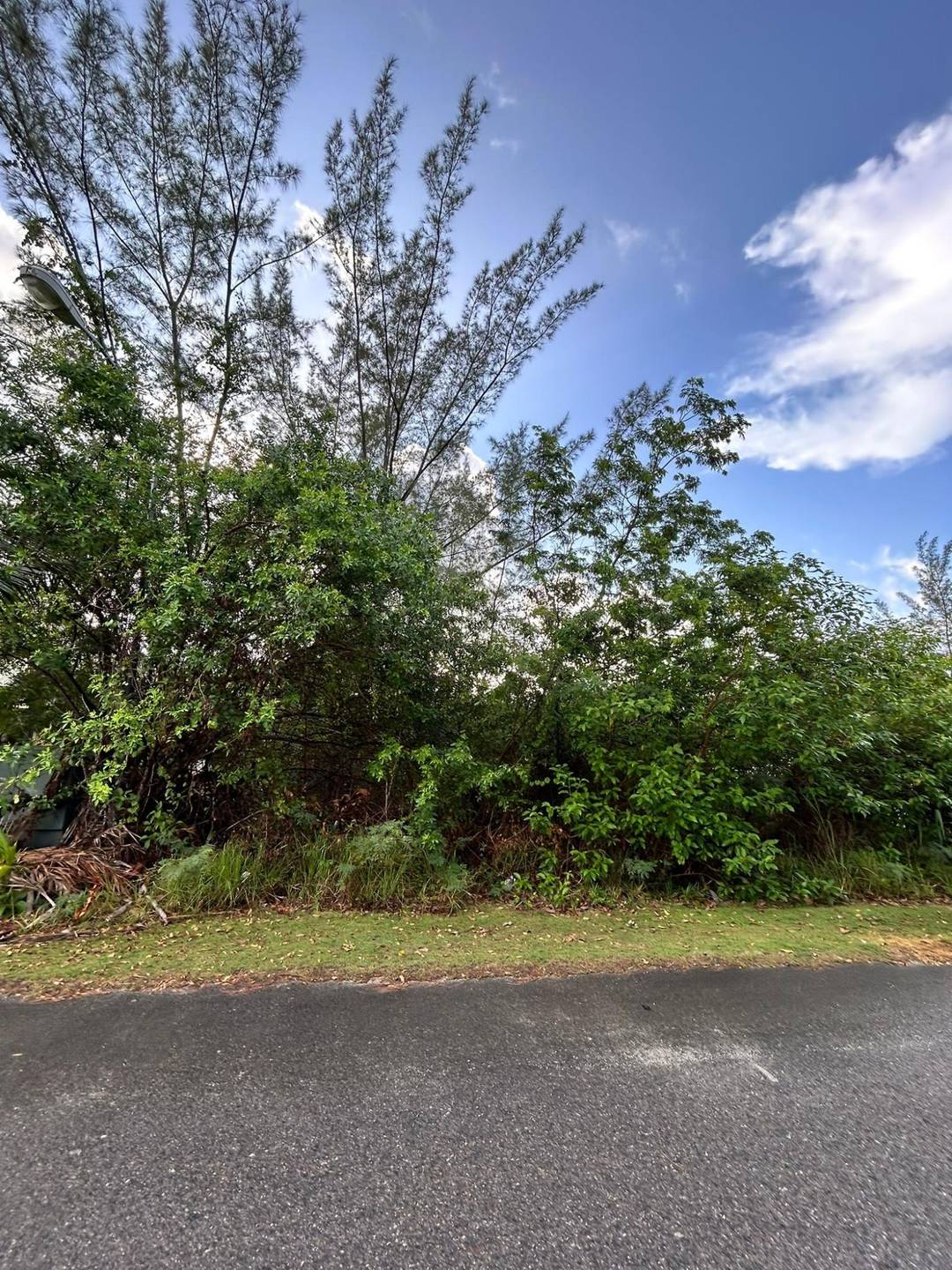 YUMA ESTATES Land New-Providence