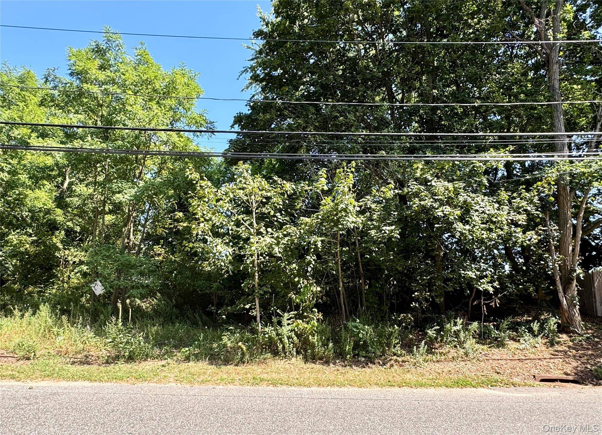 Amazing Opportunity to own 2 Lots, side by side.