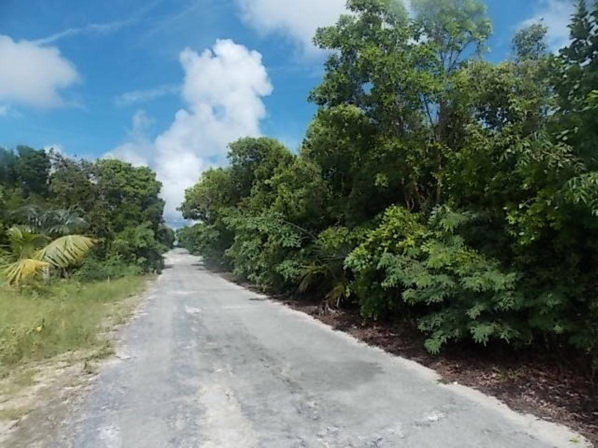 MOUNT CURTIS DR, STELLA M Land Long-Island-Bahamas