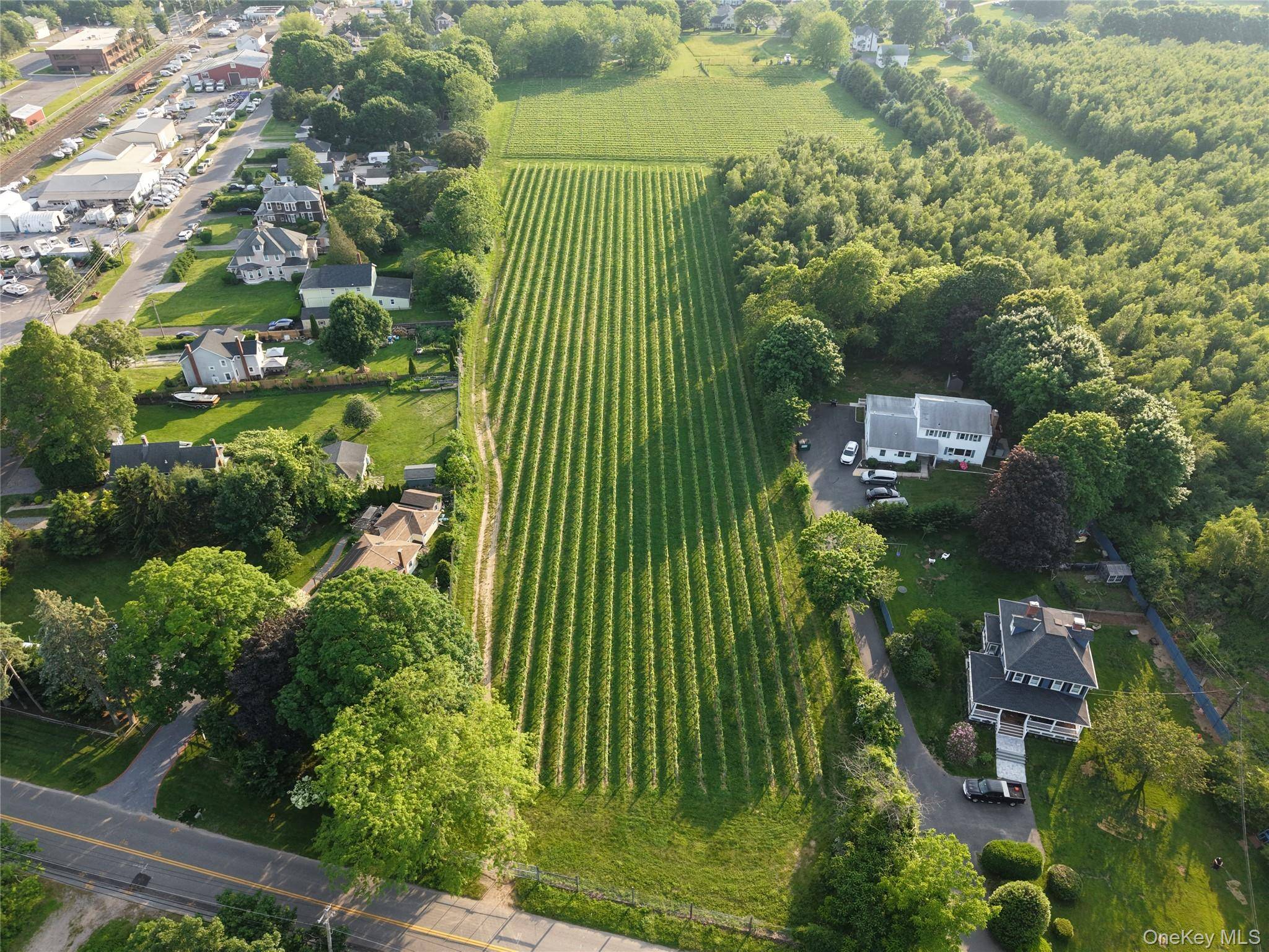 Turn key 7 acre vineyard that you've been dreaming of in Southold !