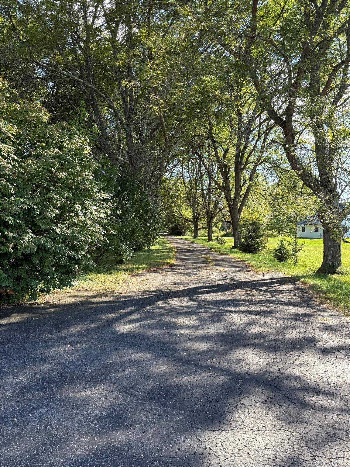 This nature lovers paradise awaits you right here in Red Hook.