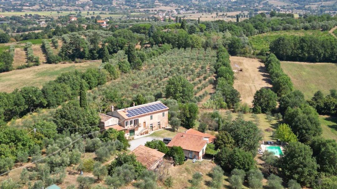 Property with holiday farm, swimming pool, vineyard and olive grove for sale in Sinalunga, in the province of Siena, Tuscany.