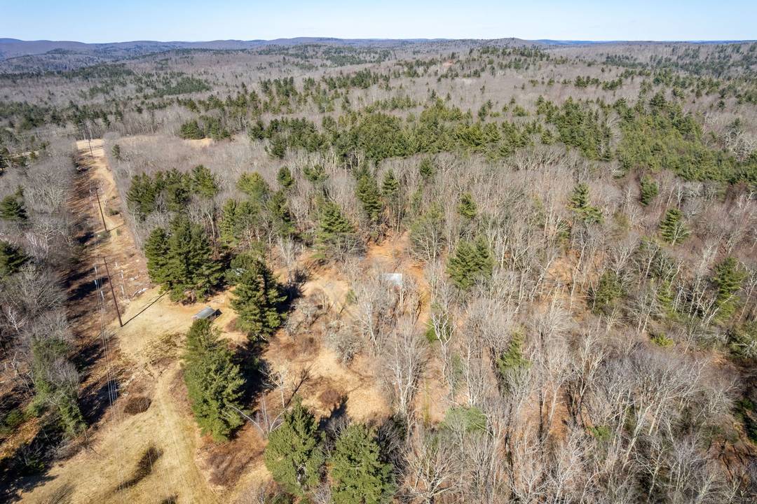 White Birch Meadow situated on east side of North Street, Goshen, CT Rt.