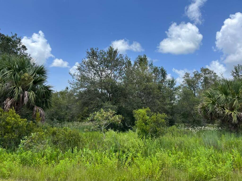 Build or bring your dream home and barn on this beautiful private high and dry 1.