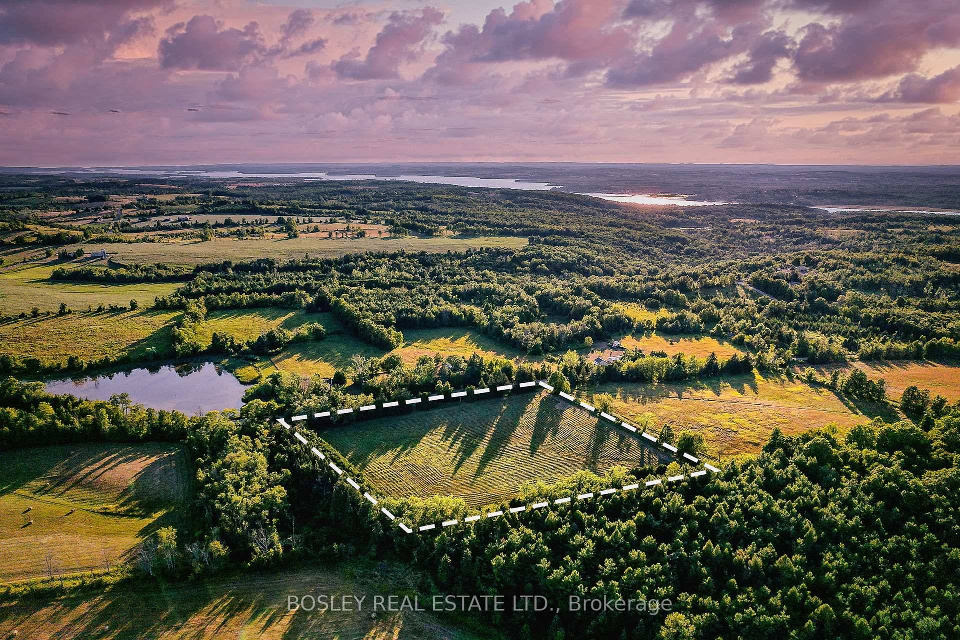 Discover the perfect canvas for your dream home or retreat on this newly severed 5.