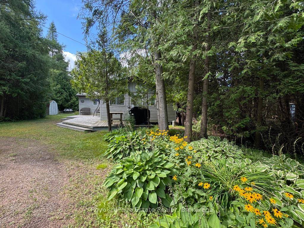 Just a one minute, convenient stroll down a path to the sandy shoreline of Lake Huron, this inviting 3 bedroom, 3 season cottage is ready for your summer enjoyment.