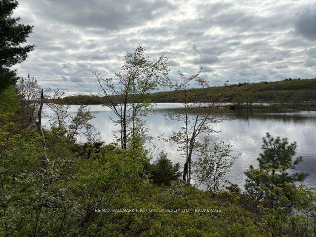Build your dream retreat on the shores of Kennebec Lake !