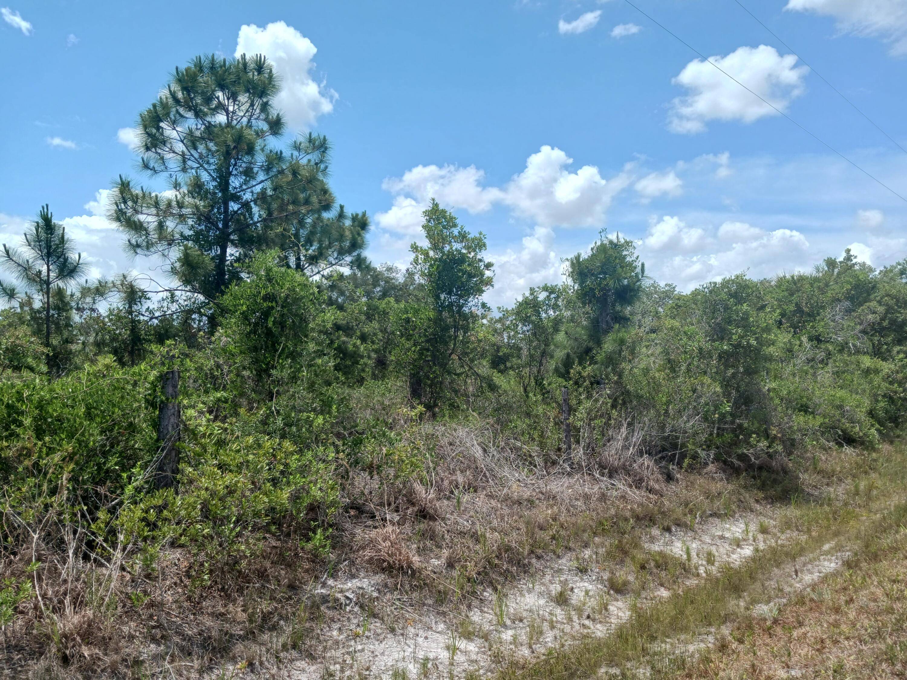 Viking 1. 25 acre lot. Enjoy star filled nights in this area.
