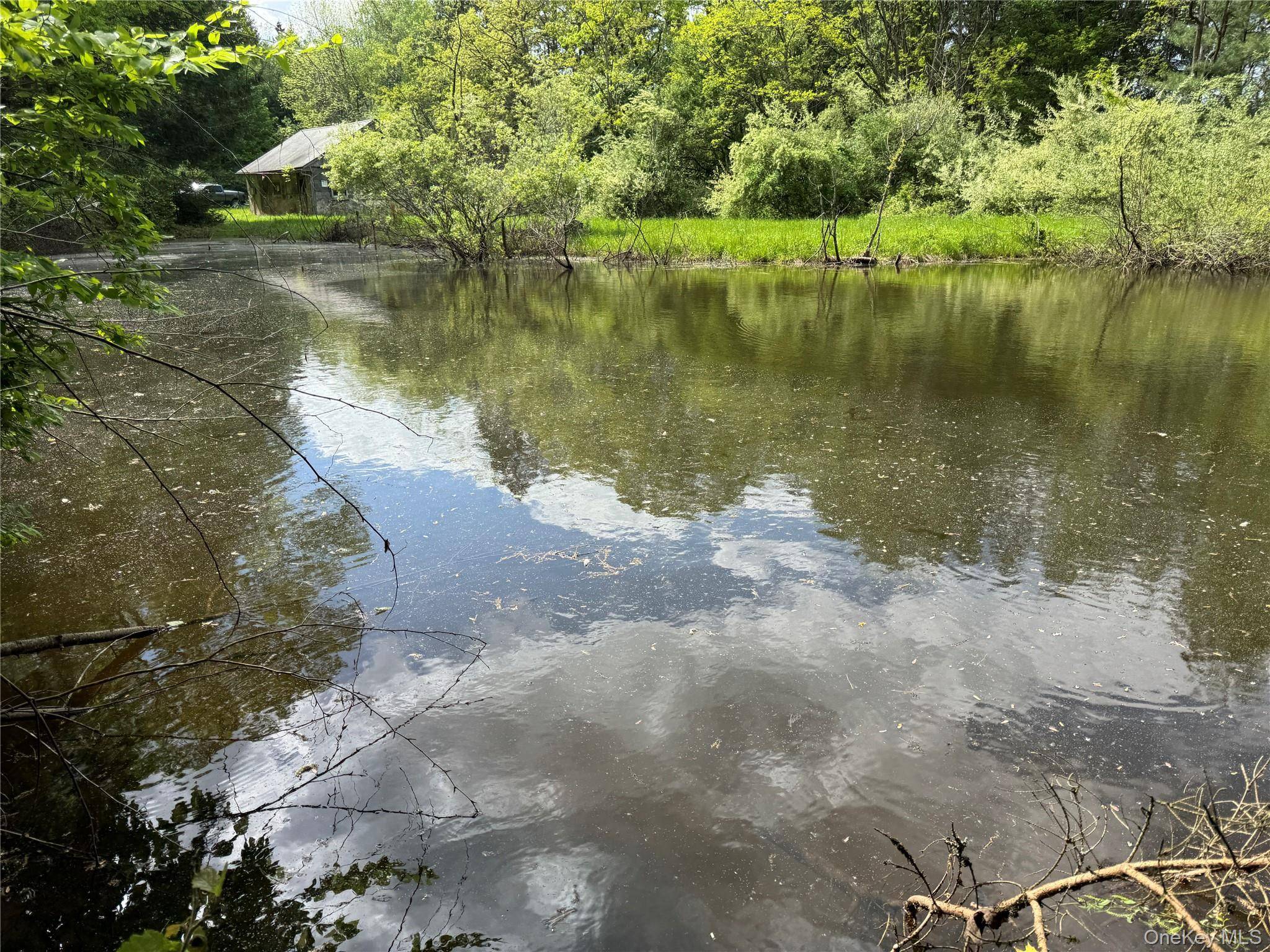Rare 79 Acre Family Owned Catskills Estate with Pond, Barn, Wildlife Habitat amp ; Endless Potential Welcome to a hidden gem in the heart of the Catskills 79 pristine acres ...