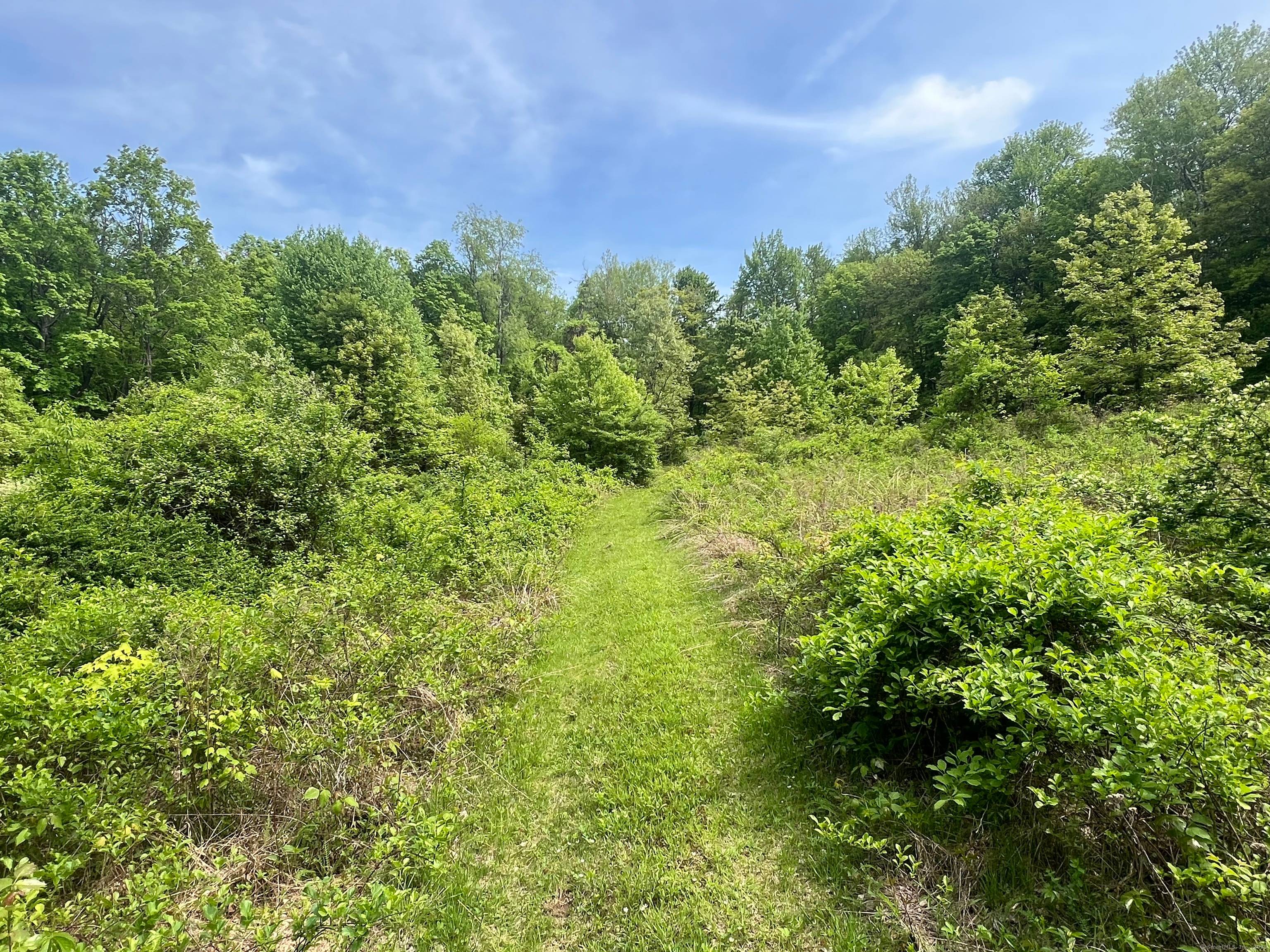 Beautiful land ! Discover a rare opportunity to own over 40 acres of pristine land in the picturesque Litchfield Hills, just waiting for your vision.