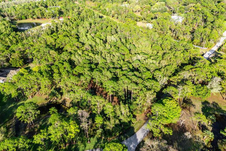 Seclusion Meets World Class Amenities on 5.