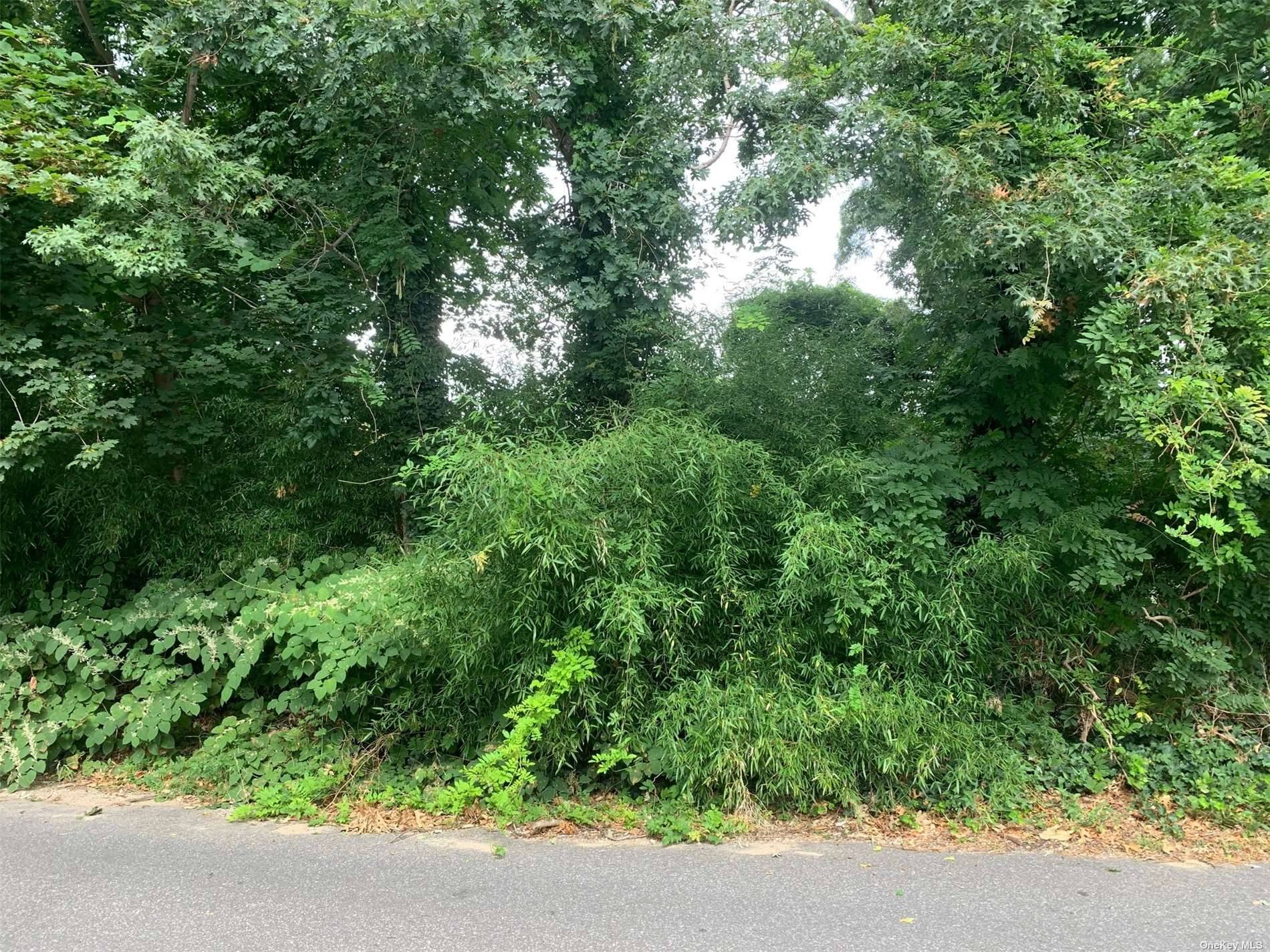 Violet Road, Rocky Point NY 11778