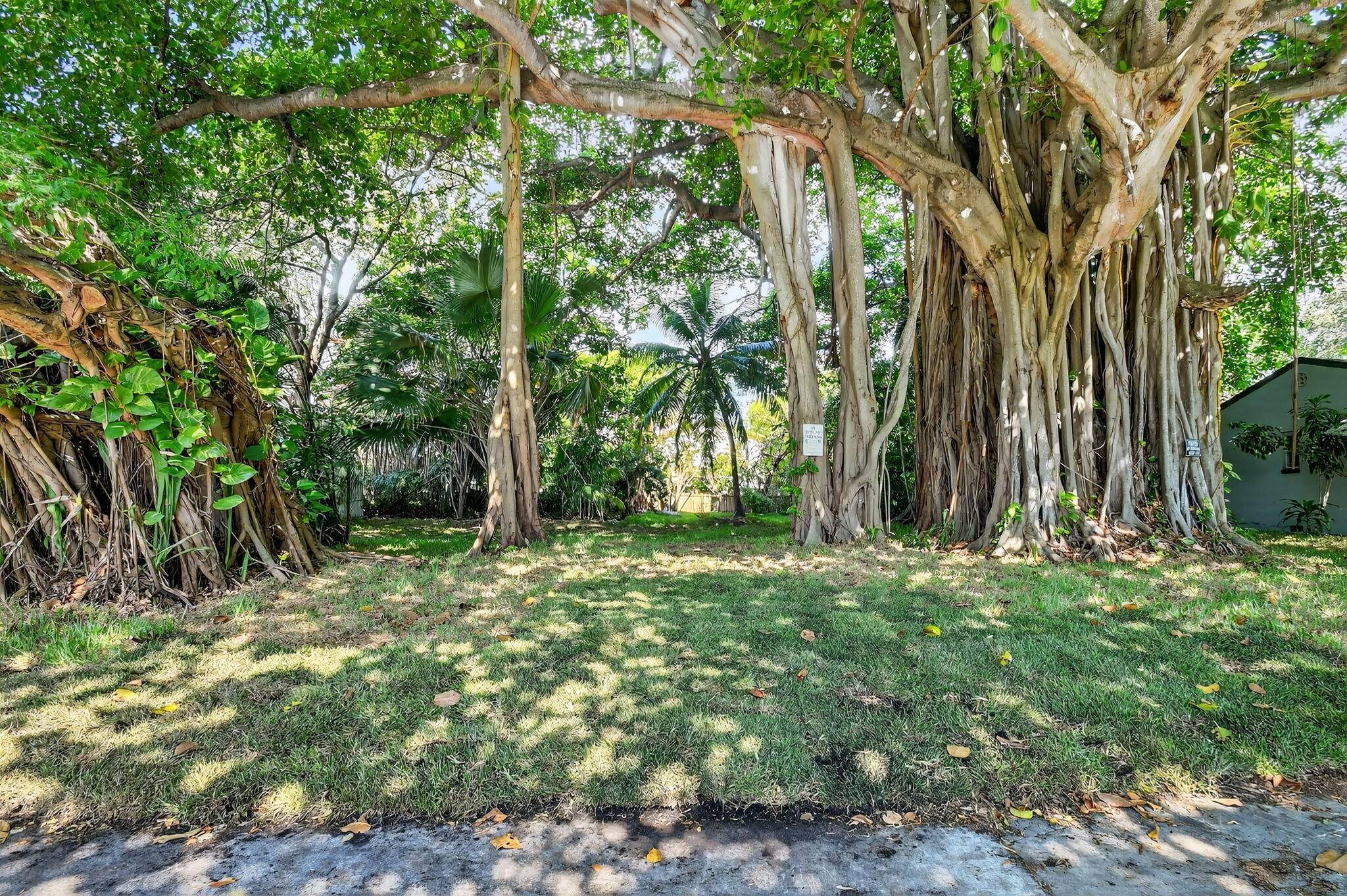 A beautifully treed vacant lot, 135 X 87.