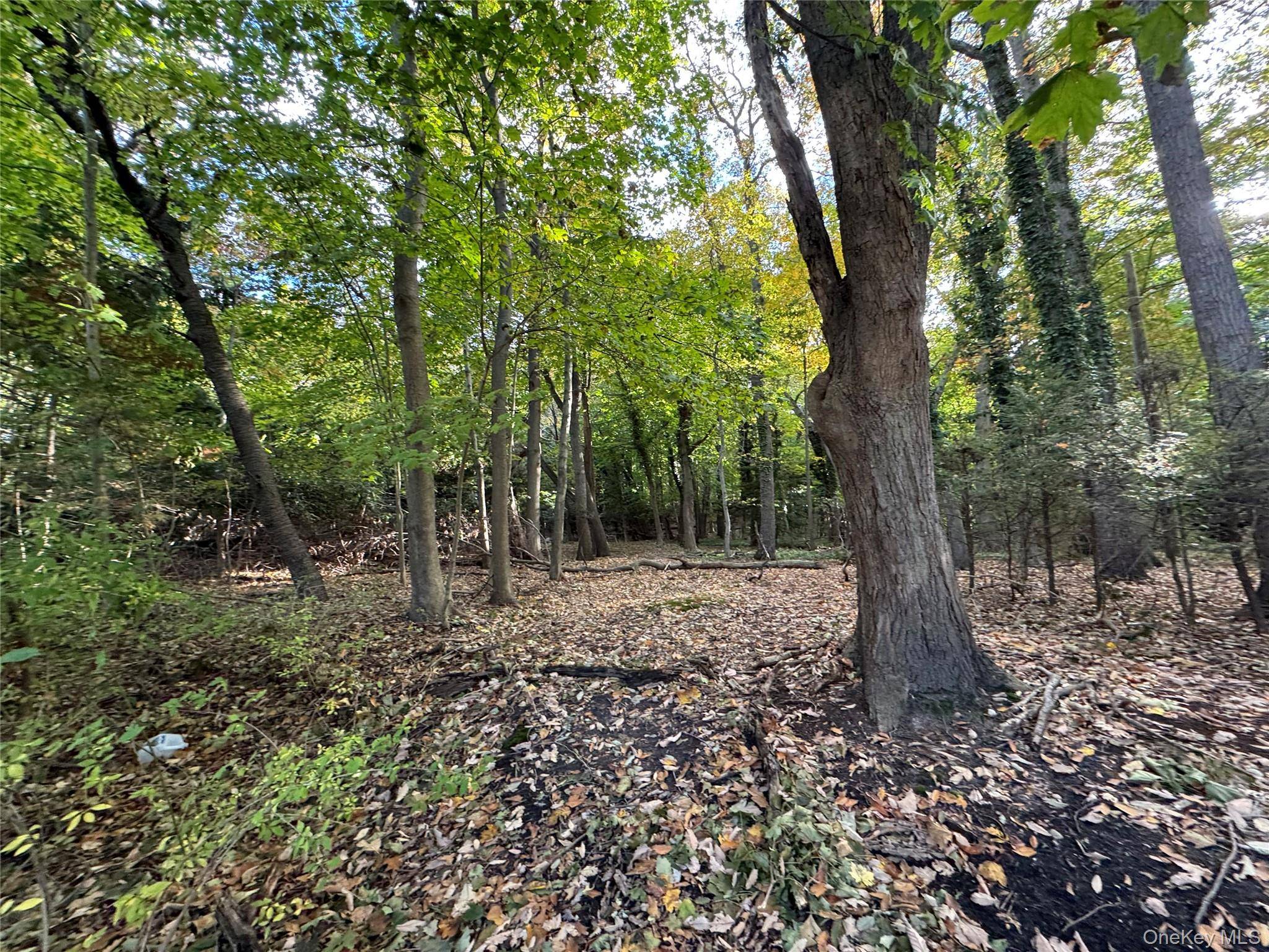 Discover a rare opportunity in the charming Village of Port Jefferson with this unique four lot subdivision on residential zoned land.