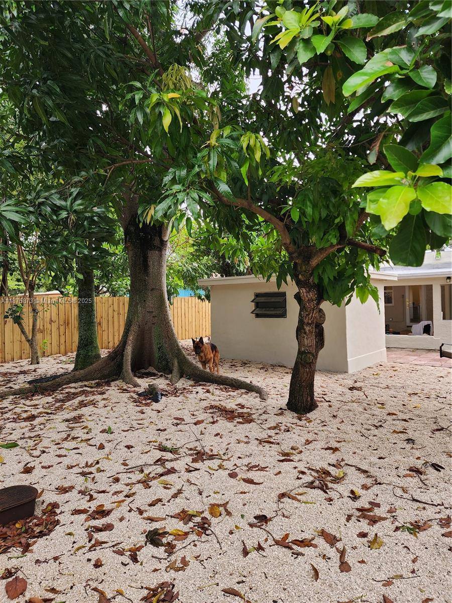 New 3 bedroom 2 bathroom single family home.