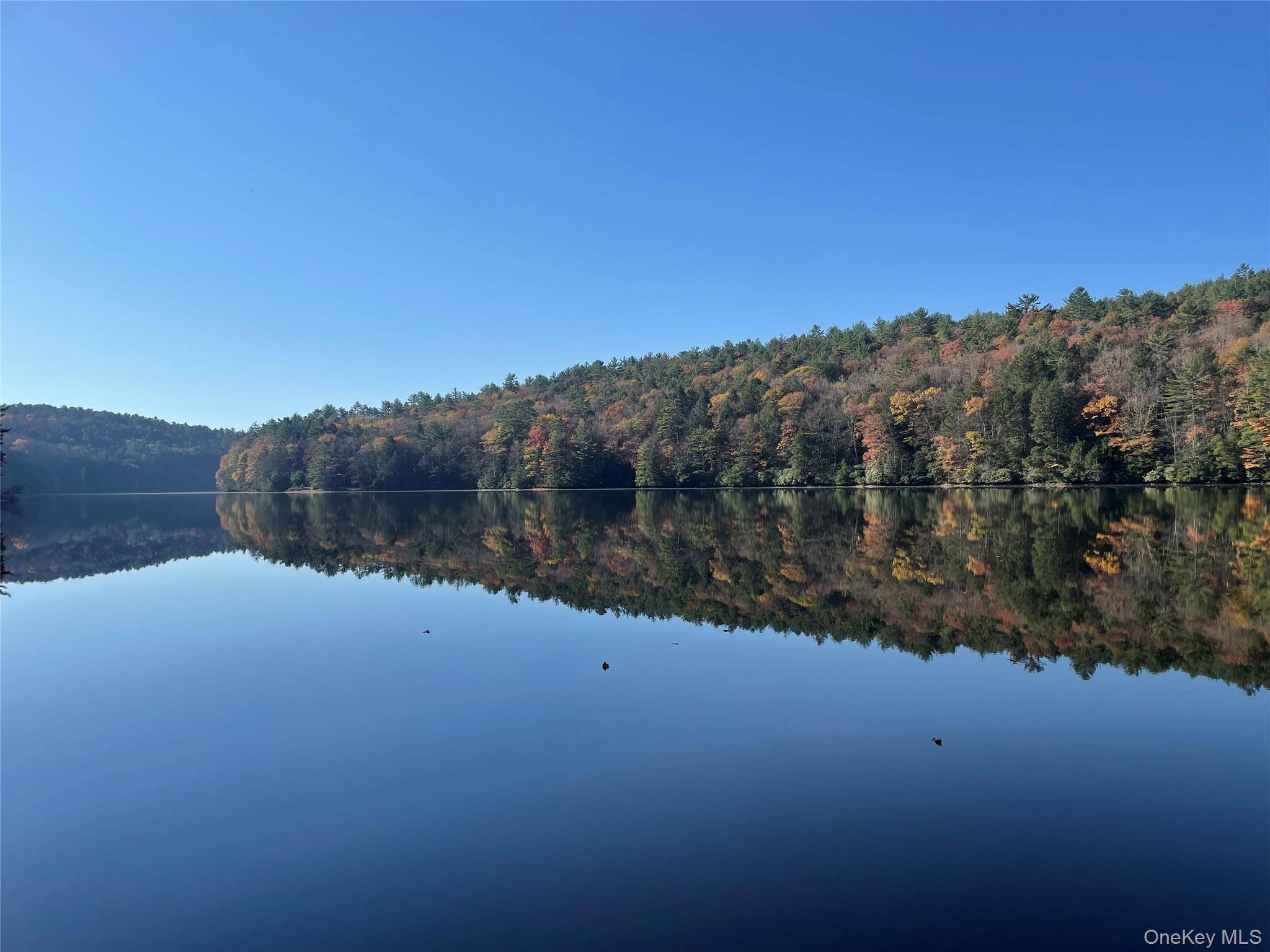 YES ! ! ! You just discovered a rare opportunity to own a breathtaking wooded lot nestled on the tranquil shores of the Rio Reservoir.