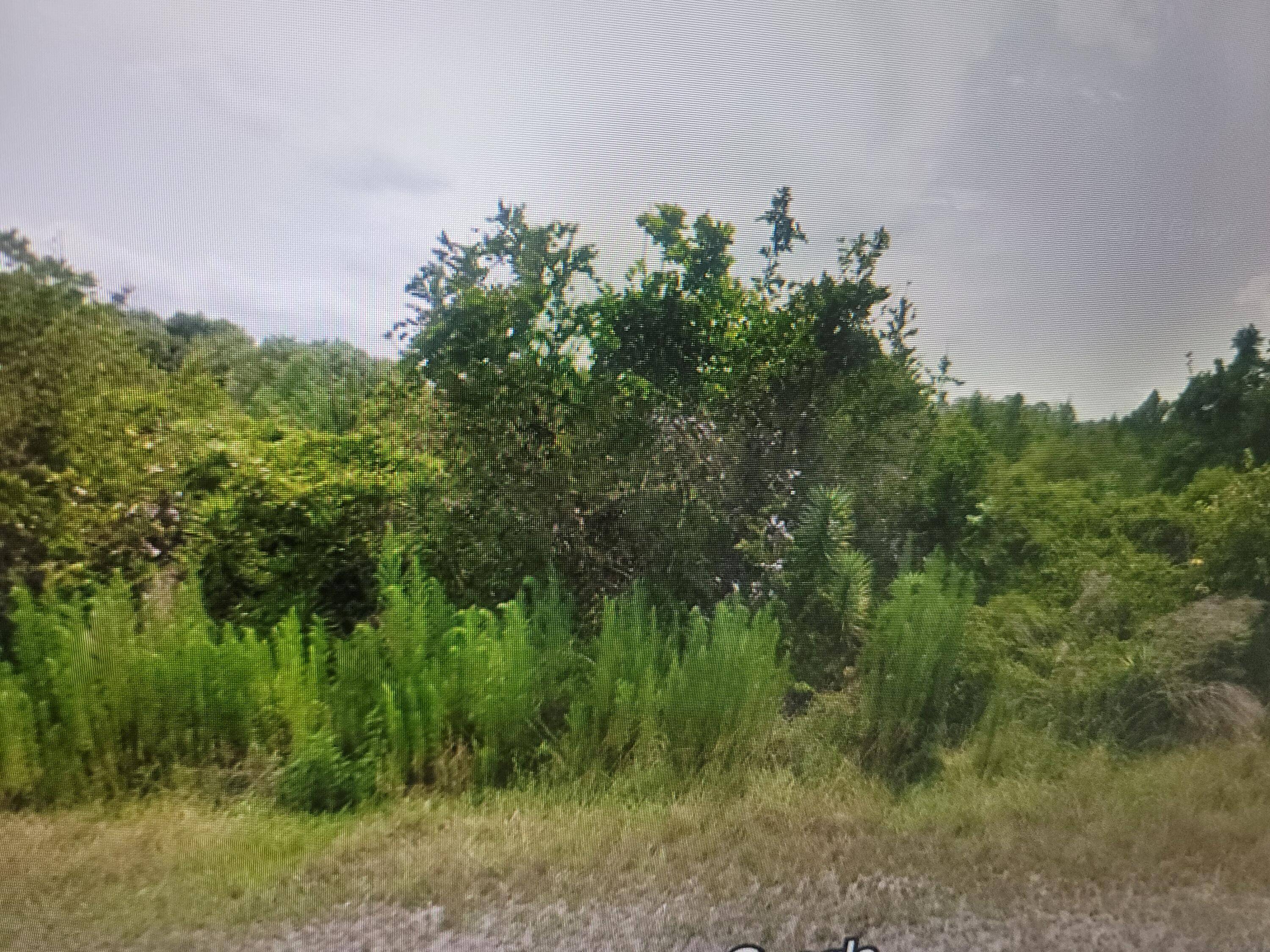 1. 25 acres located in the center of Florida10 mins to Walmart 30 mins to international airport 40 mins to beaches, 1 hour To Miami 2 hours theme parks orlando.