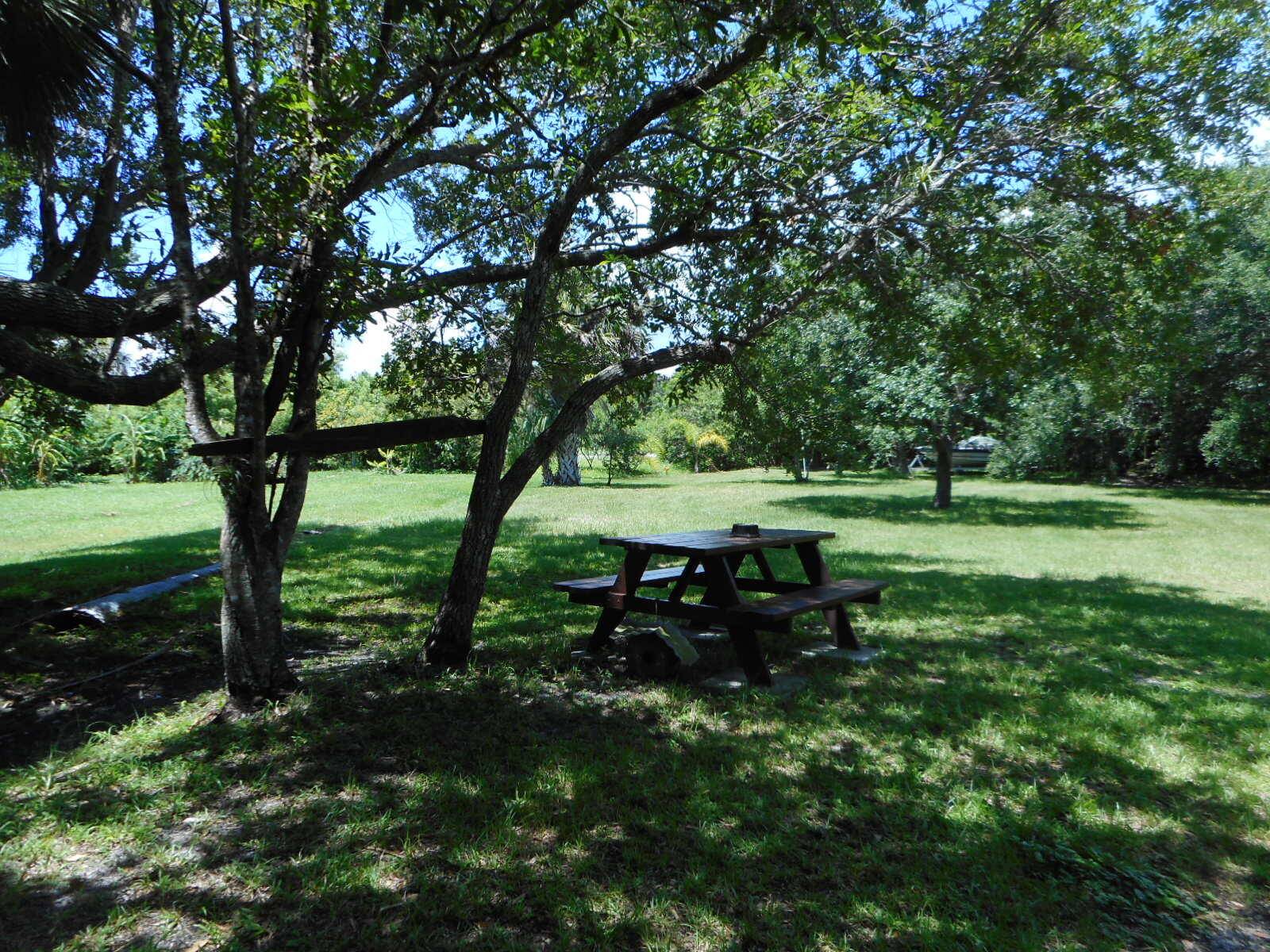 Pristine, buildable 3. 5 acre lot with beautiful mature oak hammock.