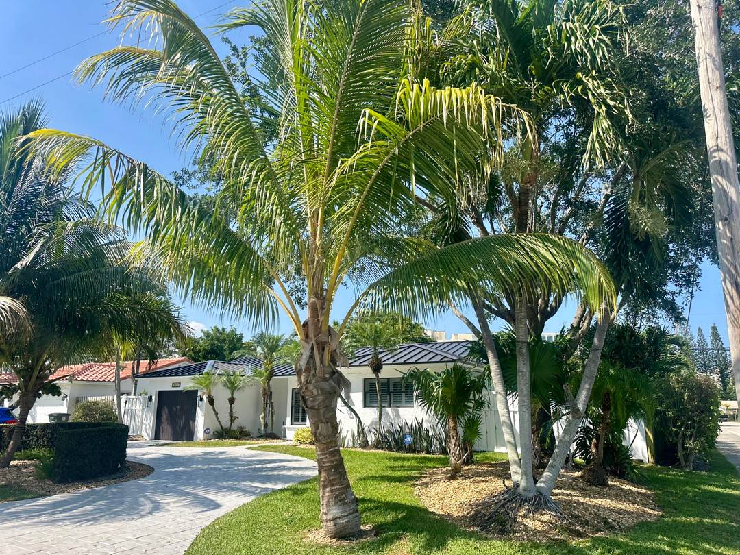 Short time rental, this charming 2 bedroom, 2 bath pool home offers the perfect escape in the highly sought after Tunison Palms neighborhood, bordering the historic Old Floresta area of ...