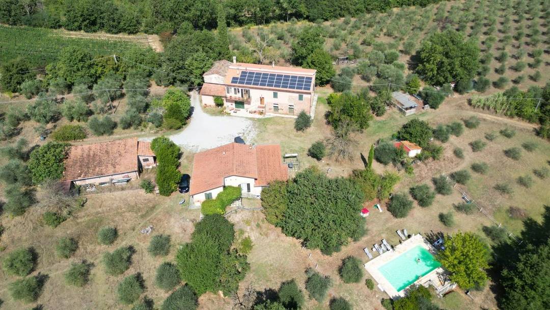 Property with holiday farm, swimming pool, vineyard and olive grove for sale in Sinalunga, in the province of Siena, Tuscany.