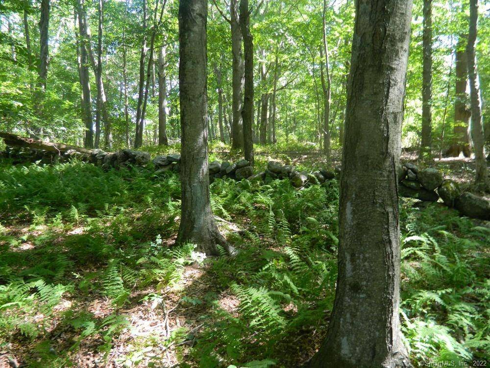 Discover an exceptional opportunity to own 26 pristine acres of land perfectly situated next to a scenic golf course and just minutes from beautiful sandy beaches.